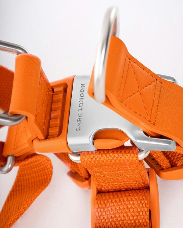 Barc London Mandarin Orange Dog Harness