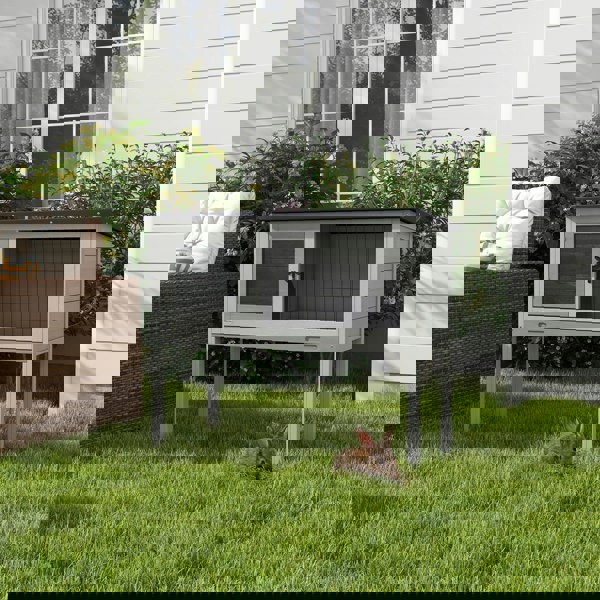 D51-119V00GY