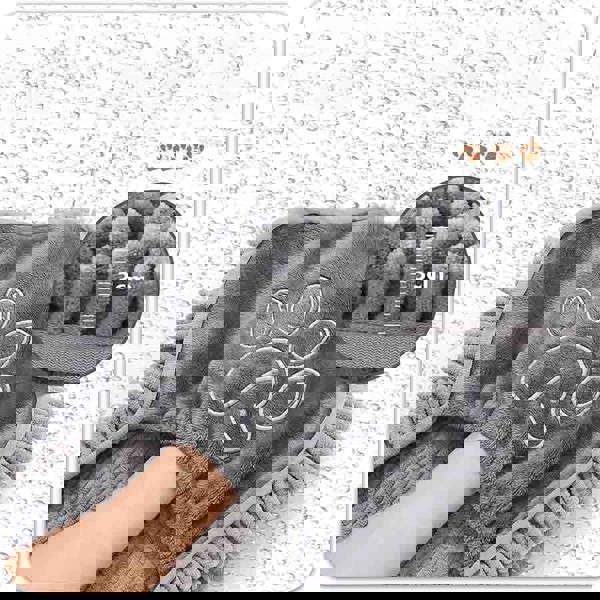 Leaper Super Absorbent Thickened Chenille Quick-dry Pet Towel