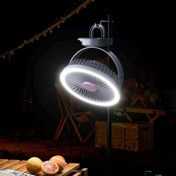 Leaper 2-in-1 Hanging and Standing Fan with Light