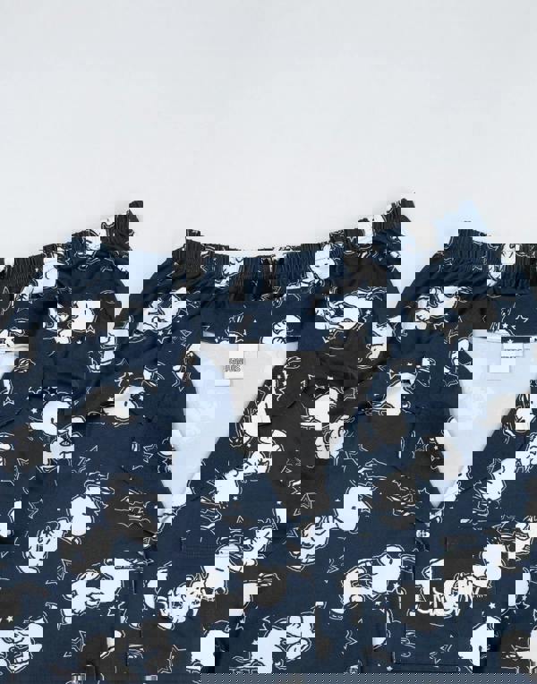 Peanuts Womens Blue Snoopy Long Sleeve Long Leg Pyjama Set