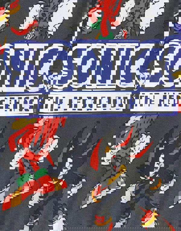 Sonic the Hedgehog Boys Grey Modern Character Pattern Sweatshirt and Shorts Set