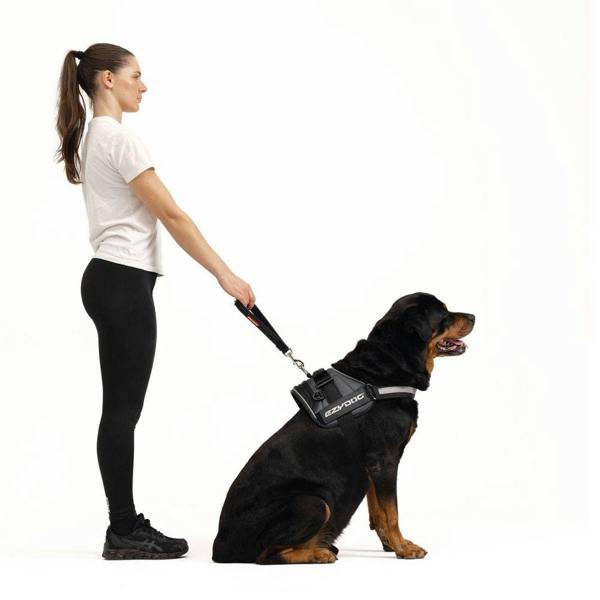 EzyDog Neo Mongrel Short Range Dog Lead