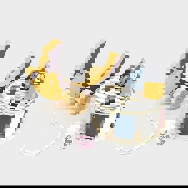 Polar B Hedgehog Sorting Wheel