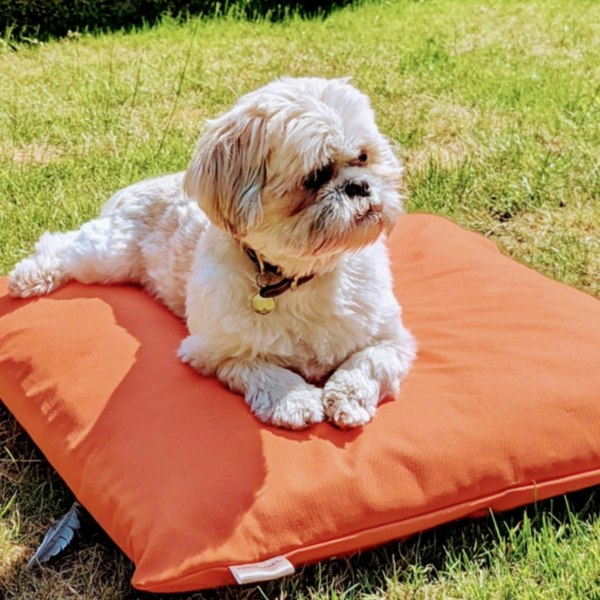 Dog Cushion Bed - Pooch and Paws