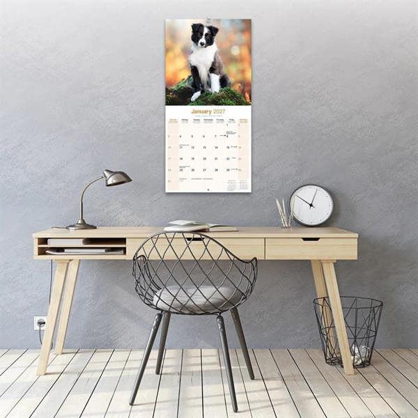 Border Collie Puppies Calendar 2027, Wall Calendars, Month To View, Dogs, Gift