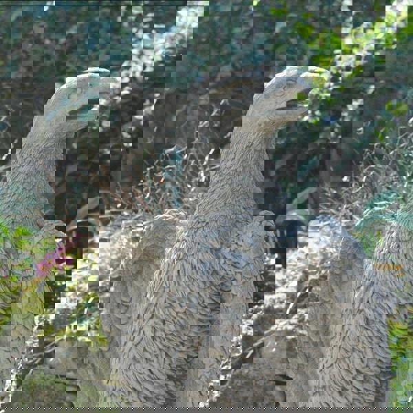 Stone Cast Giant Eagle Statue