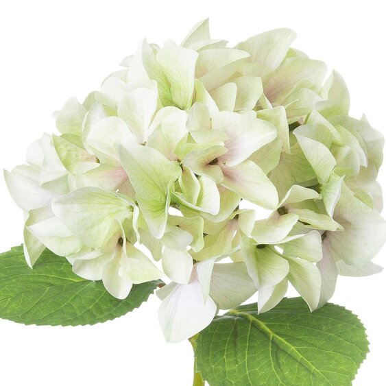 Wyld Haus Set of 3 Artificial Flowers Shabby Green Single Hydrangea Stems