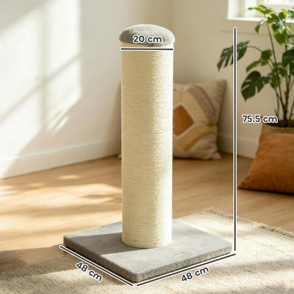 Cat Scratching Post