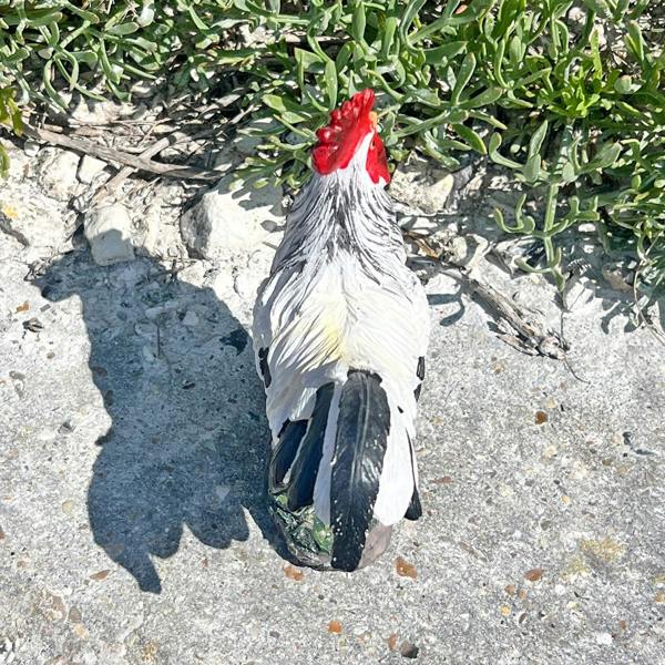 Farmwood White Cockerel Bird Garden Animal Ornament
