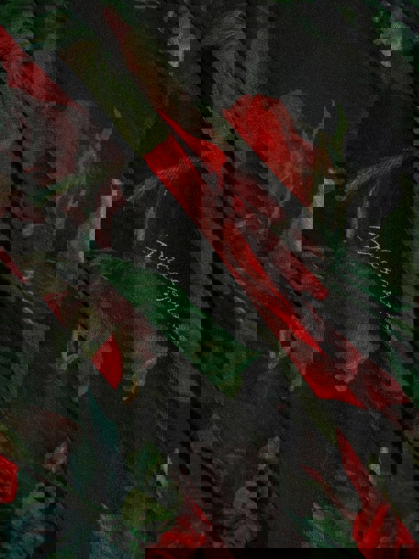 Dolce & Gabbana Kids Dolce & Gabbana Girls Tulle Rose Dress in Black