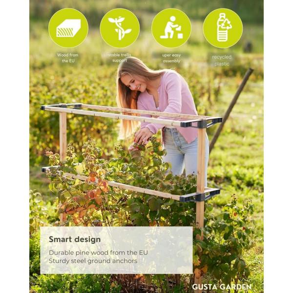 BERRY BUDDY climbing solution for berries