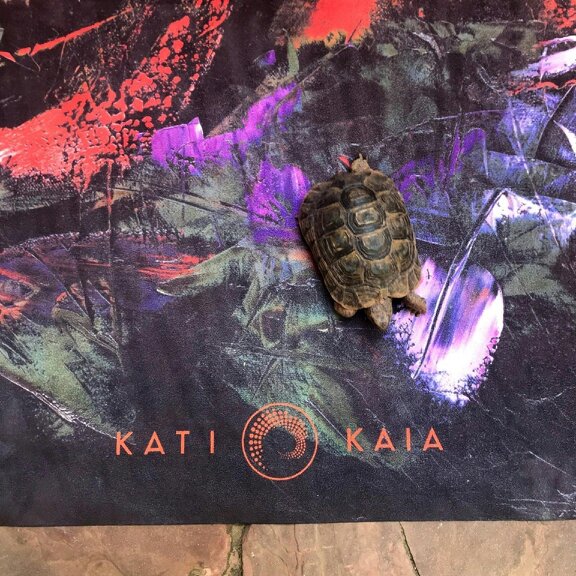 Kati Kaia Prometheus Red Travel Mat