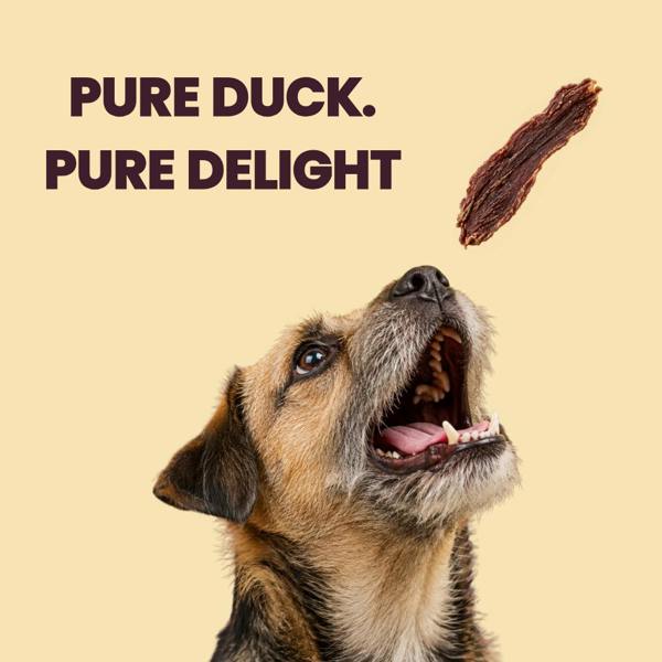 Favour Duck Fillets Dog Treats 100g