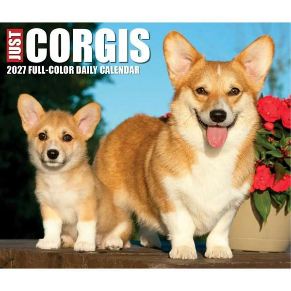 Just Corgis Desk Calendar 2027, Desk Calendars, Day To View, Dogs, Gift
