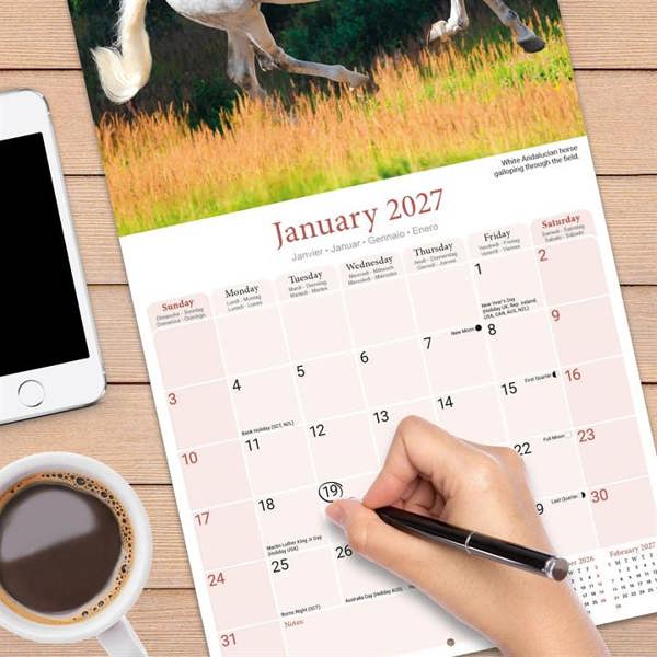 Horses Calendar 2027, Wall Calendars, Month To View, Animals, Gift