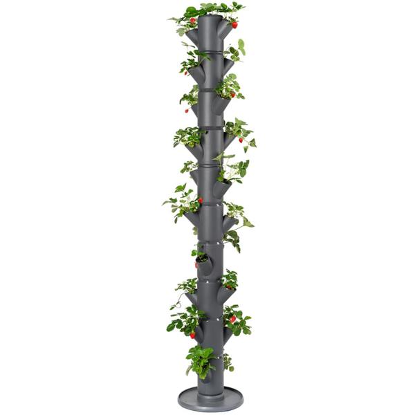 SISSI STRAWBERRY easy-watering strawberry tree - Anthracite