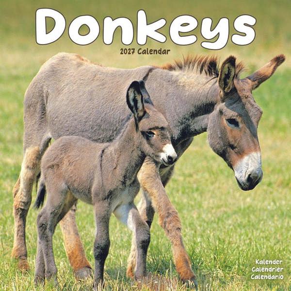 Donkeys Calendar 2027, Wall Calendars, Month To View, Animals, Gift