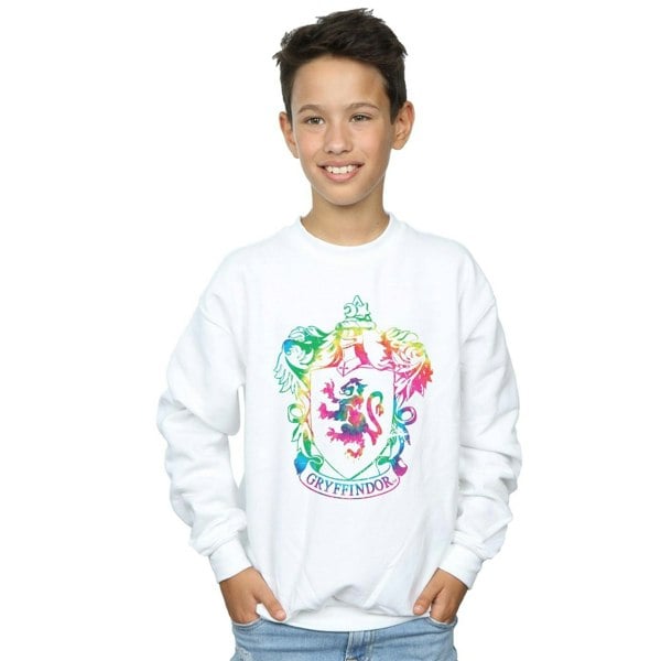 Harry Potter Boys Gryffindor Crest Tie Dye Infill Sweatshirt - White