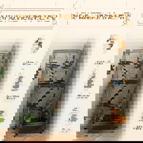 D51-113V00GY