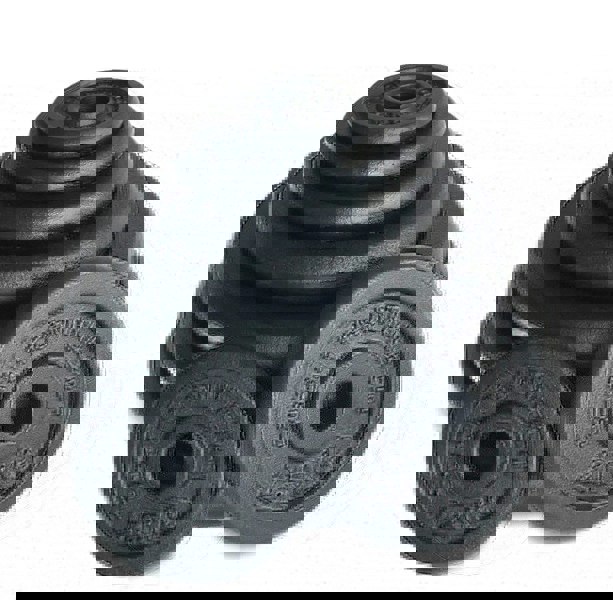 Cast Iron Weight Plates - Body Revolution