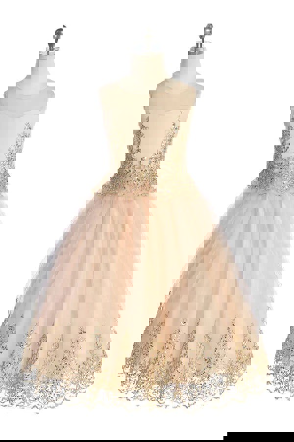 Alexis dress in blush and gold