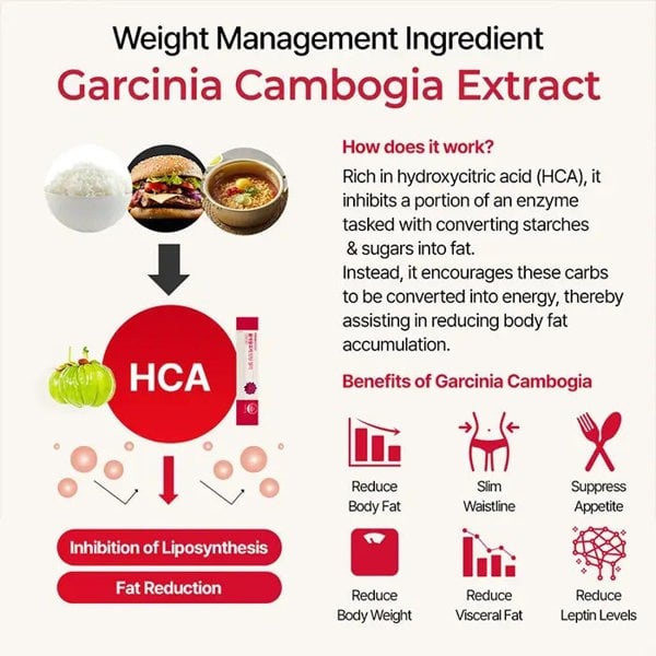 FOODOLOGY Coleology Cutting Jelly 25g x 10 sticks