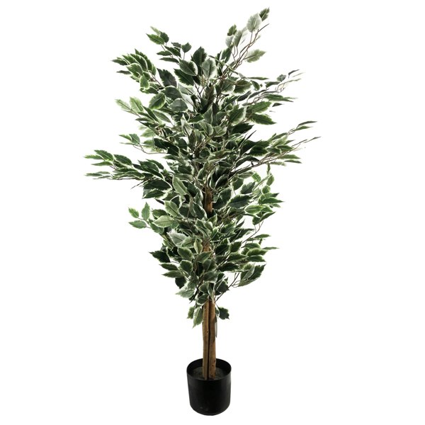 Leaf 130cm Tall Variegated White/Green Bushy Ficus Tree