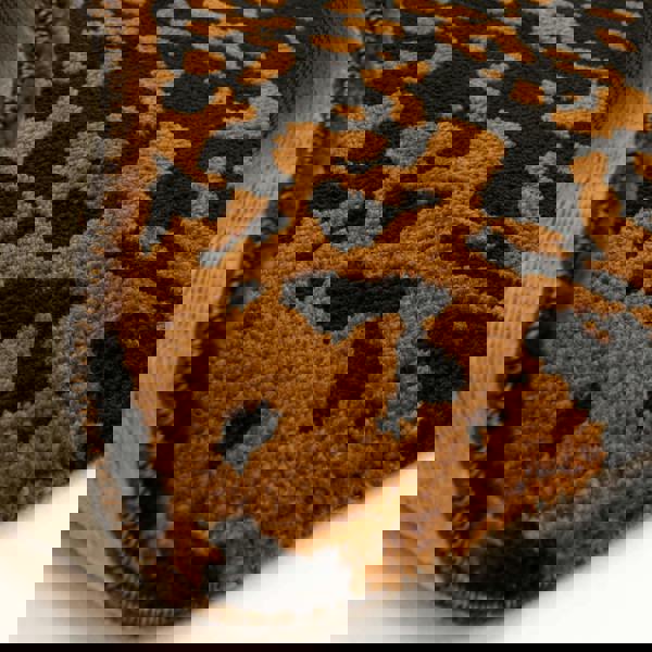 Asiatic Wilder Splash Charcoal Rug