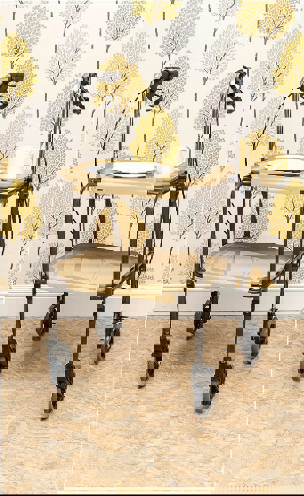 Aidapt Strolley Trolley Height Ad Brakes