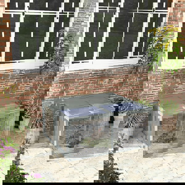 D51-430V00GY