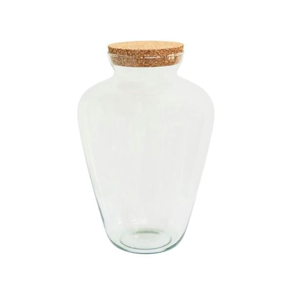 Ivyline Teardrop Glass Lid Terrarium - Large