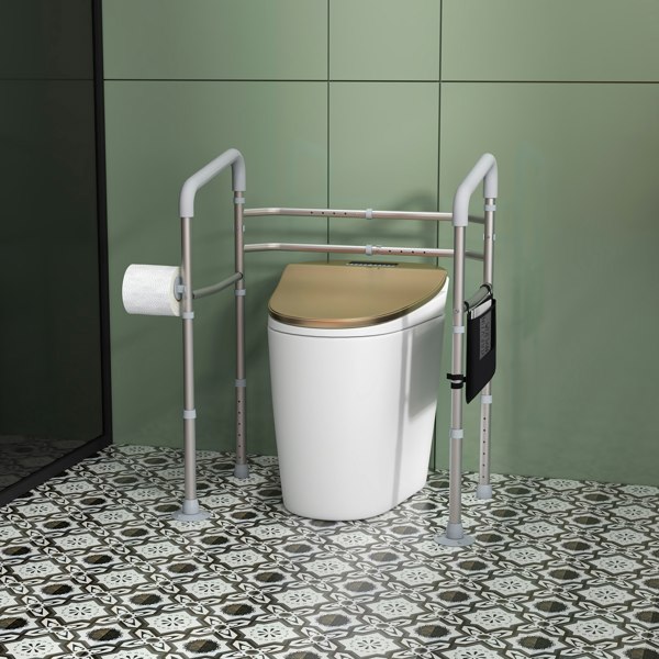 Toilet Rail