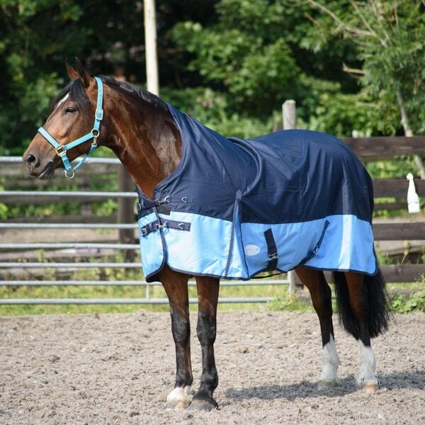 eQuitack 600D Outdoor Winter Lightweight Waterproof Horse Turnout Rug 0g No Fill Half Neck Nylon Lined Double Buckle Navy/Baby Blue