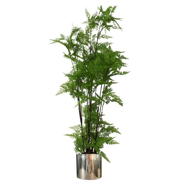 Leaf 150cm Artificial Natural Moss Base Fern Foliage Plant with Silver Metal Plater