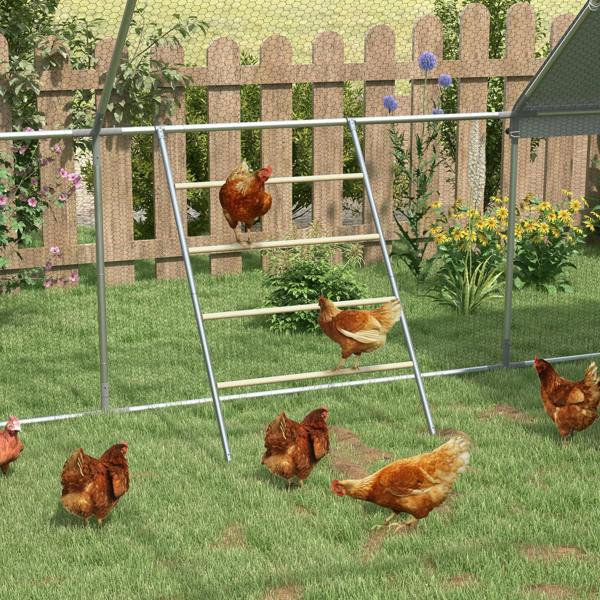 Chicken Activity Shelf