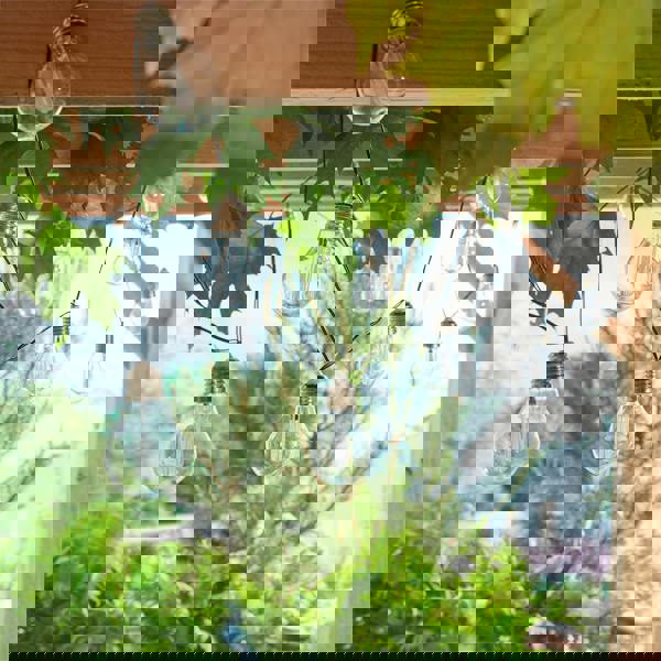 Luxform Solar Corfu Stringlights 15 Bulbs