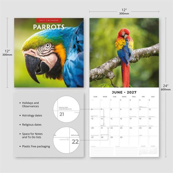 Parrots Calendar 2027, Wall Calendars, Month To View, Animals, Gift