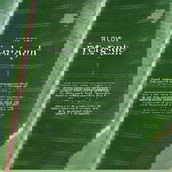 Fushi Single Herb Supplements Organic Neem Leaf x 60 Capsules - Additional 4