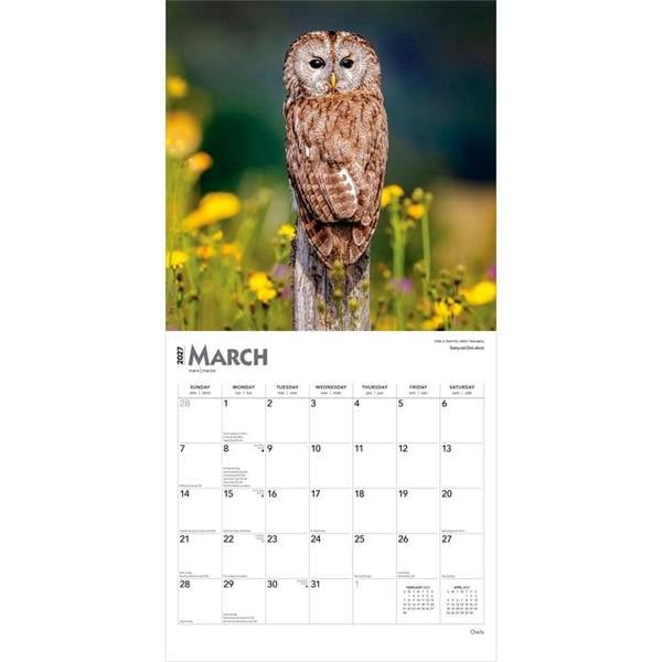 Owls Calendar 2027, Wall Calendars, Month To View, Animals, Gift