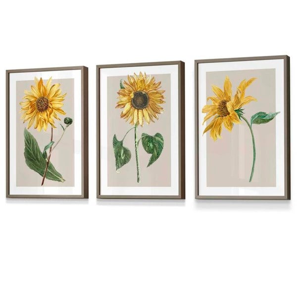 Artze Wall Art Vintage Yellow Sunflowers Set of 3 Framed Prints