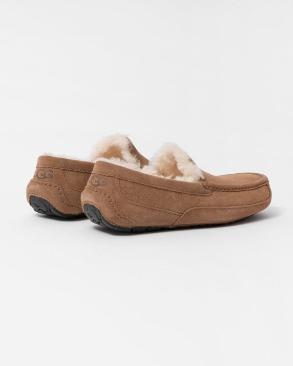 UGG Ascot Mens Slipper - Chestnut