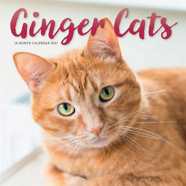Ginger Cats Calendar 2027, Wall Calendars, Month To View, Cats, Gift