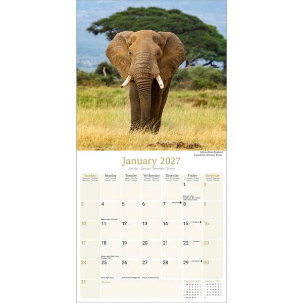 African Wildlife Calendar 2027, Wall Calendars, Month To View, Animals, Gift