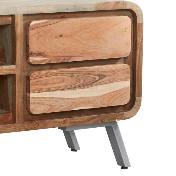 Wyld Haus Los Angeles Reclaimed Wood and Metal Medium TV Cabinet 1 Shelves 2 Drawers