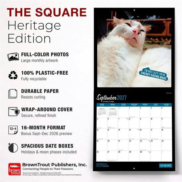 Cat Selfies Calendar 2027, Wall Calendars, Month To View, Humour, Gift