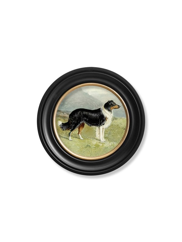 Exceptional Art c.1881 Working Dogs - Round Frame