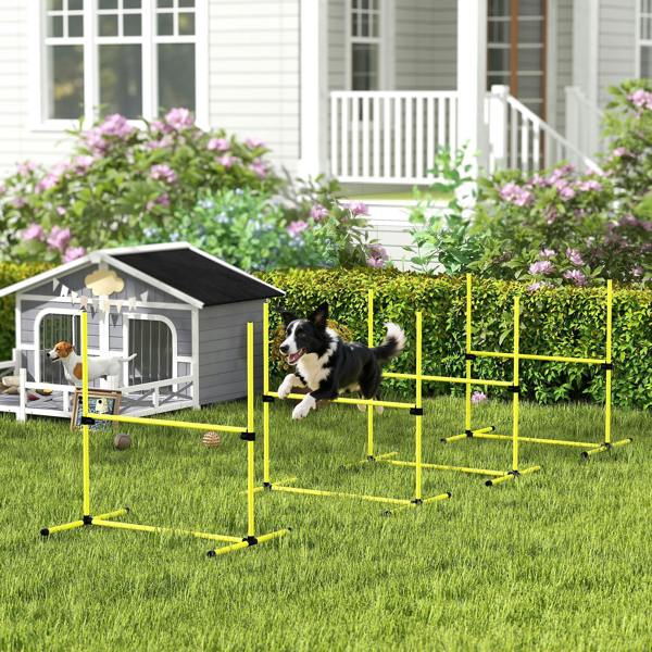 Pet Agility Set
