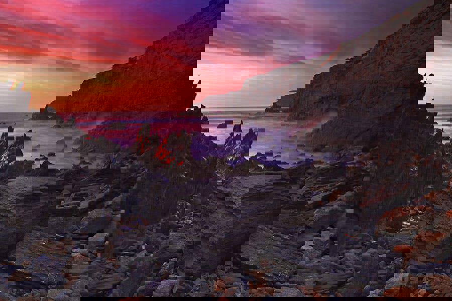 Fernlight Gallery Dream Searching