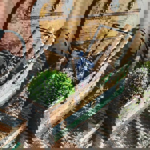 OX21 A Set Of Three Wood Handbags, Decoration-Weilai Concept-Weilai Concept